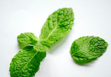 Load image into Gallery viewer, Fresh Mint Tincture
